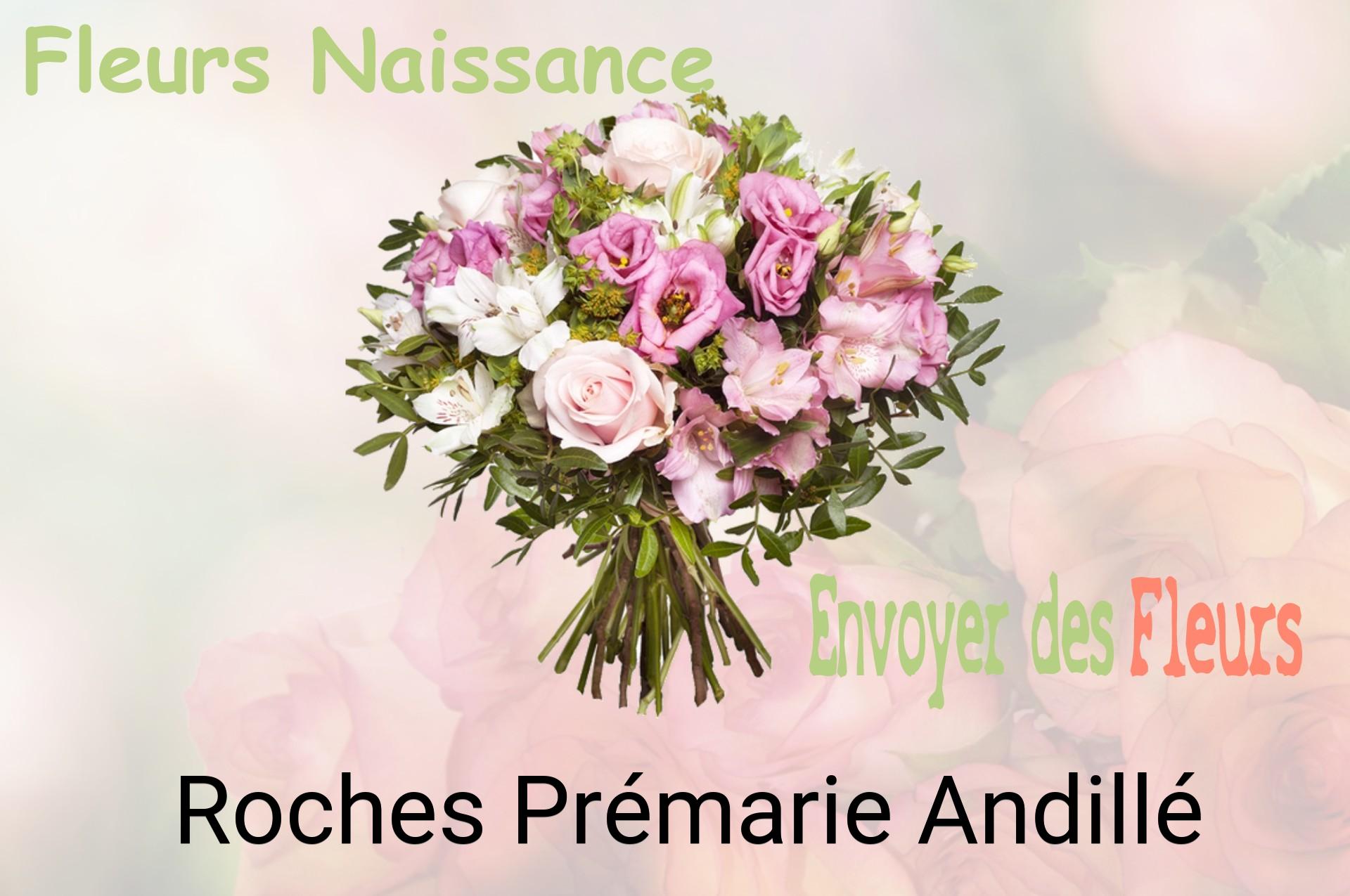 Bouquet de fleurs de naissance livré à Roches-Prémarie-Andillé