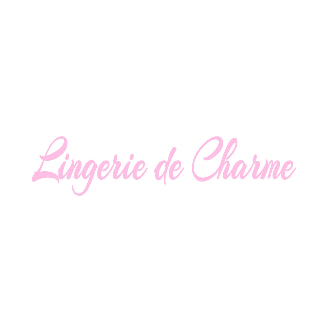 LINGERIE DE CHARME ROCHES-PREMARIE-ANDILLE